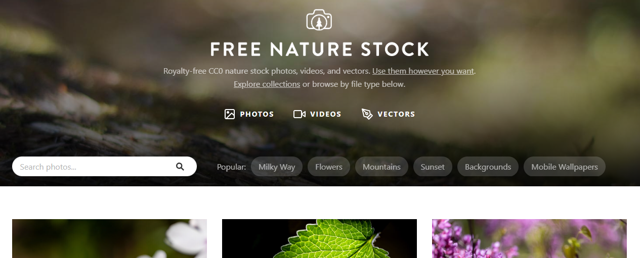 Free nature stock